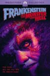 Frankenstein and the Monster from Hell Cover Image
